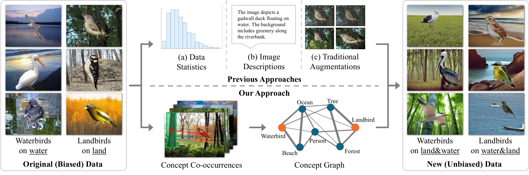 Overview of the ConBias framework